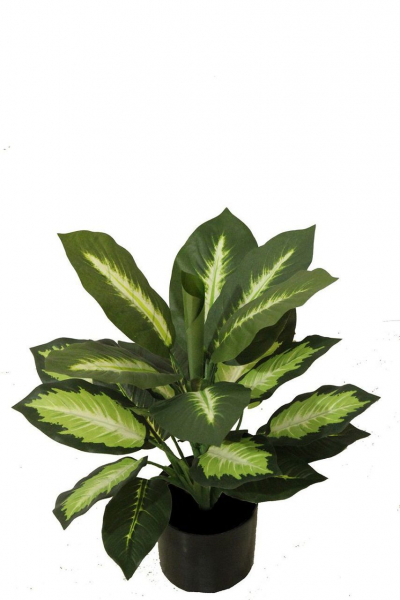 Kunstpflanze Dieffenbachhia, 50 cm hoch, Dekopflanze